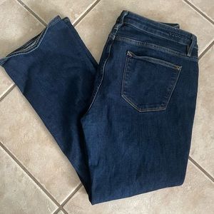 Vigoss Bootcut Jean Short Length